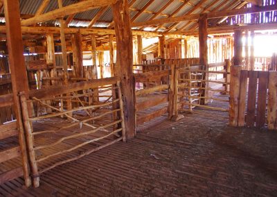 Station Shearing Shed