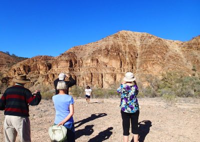 Tours to Arkaroola