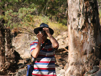 Birdwatching and bushwalking at Arkaroola