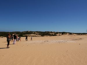 Coorong Sand Dunes