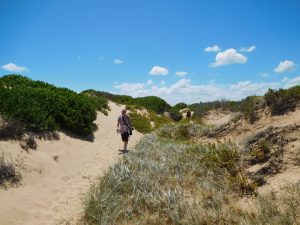 42 Mile Crossing of the Coorong