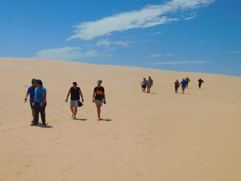 Coorong Tours 