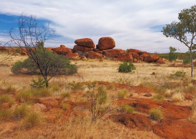 Outback Tours from Darwin to Adelaide