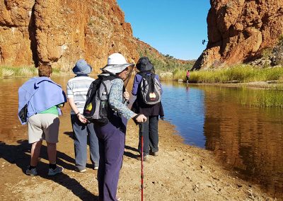 Outback Tours for Seniors