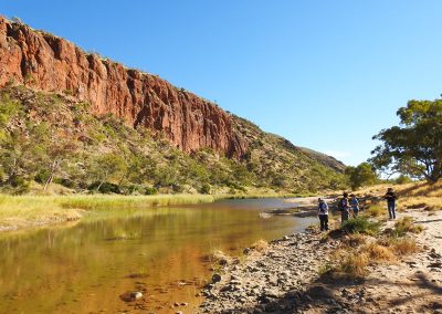 Outback Tours from Alice Springs