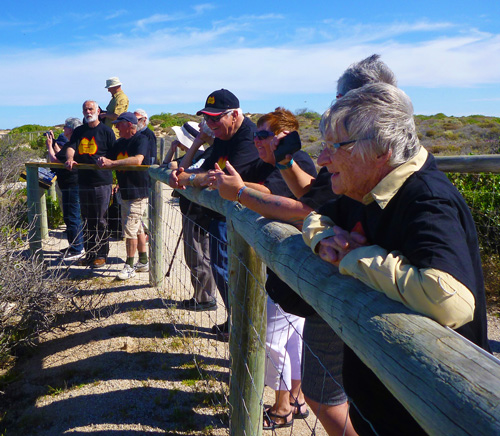 Eyre Peninsula Tours in small groups