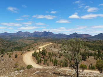 Flinders Ranges Tours