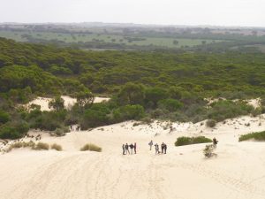Little Sahara Sand Dunes on Kangaroo Island