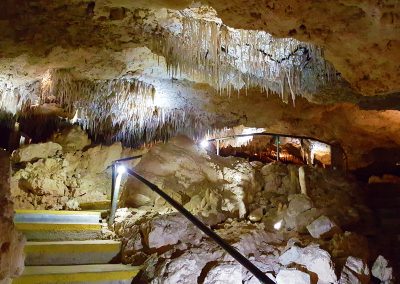Guided Kelly Hill Cave Tour